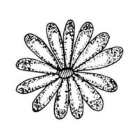 A simple element drawn with a liner by hand. Chamomile flower silhouette, dot technique vector