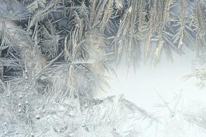 Frozen window glass photo