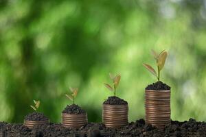 Coins stacked from low to high. Saving concept photo