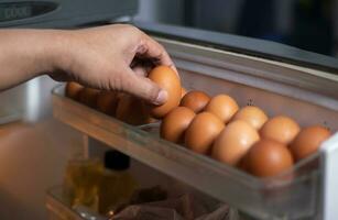 Grab the eggs in the fridge. photo