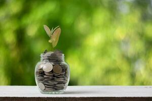 Medal in glass is placed on a wooden background in nature. Saving concept photo