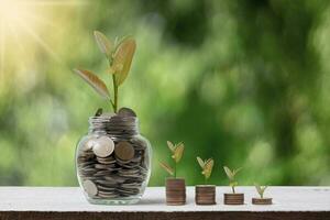 Medal in glass is placed on a wooden background in nature. Saving concept photo