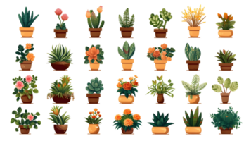 House plants set illustration collection transparent background ai generated png