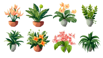 House plants set illustration collection transparent background ai generated png