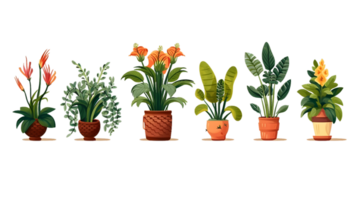 House plants set illustration collection transparent background ai generated png