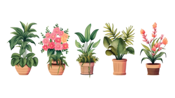 House plants set illustration collection transparent background ai generated png