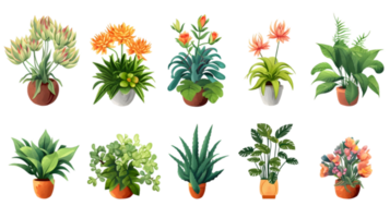 House plants set illustration collection transparent background ai generated png