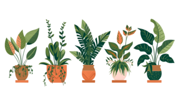 House plants set illustration collection transparent background ai generated png