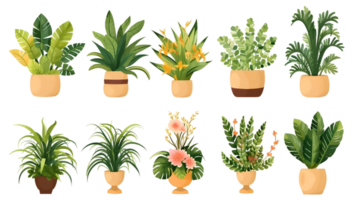 House plants set illustration collection transparent background ai generated png