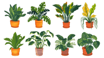 House plants set illustration collection transparent background ai generated png