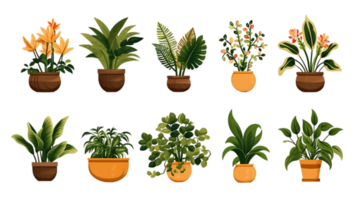 House plants set illustration collection transparent background ai generated png