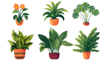 House plants set illustration collection transparent background ai generated png