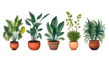 House plants set illustration collection transparent background ai generated png