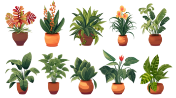 House plants set illustration collection transparent background ai generated png