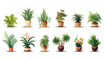 House plants set illustration collection transparent background ai generated png