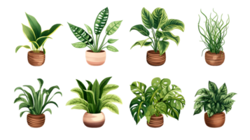 huis planten reeks illustratie verzameling transparant achtergrond ai gegenereerd png