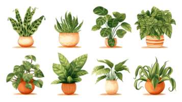 House plants set illustration collection transparent background ai generated png