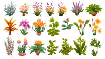 House plants set illustration collection transparent background ai generated png