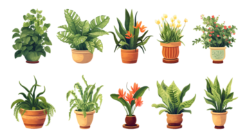 House plants set illustration collection transparent background ai generated png