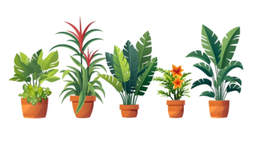 House plants set illustration collection transparent background ai generated png