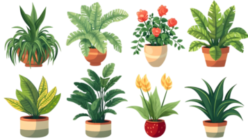 House plants set illustration collection transparent background ai generated png