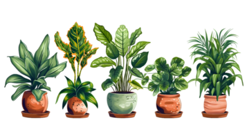 House plants set illustration collection transparent background ai generated png