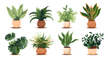 House plants set illustration collection transparent background ai generated png