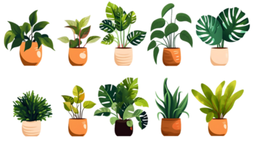 House plants set illustration collection transparent background ai generated png