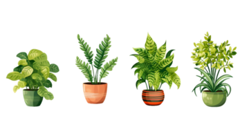 House plants set illustration collection transparent background ai generated png