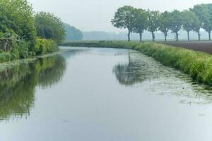 wide canal in foggy netherlands with trees, meadow photo