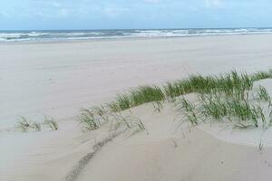 beach, sea, sky without people at the north sea in the  netherlands photo