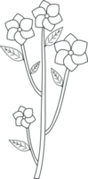 blomma översikt mönster. klotter linje konst årgång blommor. svart och vit klotter blommor. hand dragen blommig prydnad. png