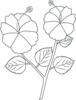 mooi shoeblackplant bloem kleur bladzijde. zwart en wit bloem. rosa sinensis bloem tekening schets. png