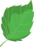 Isolated leaf icon in green color. vector