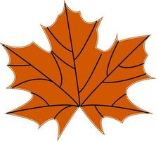 Isolated Autumn leaf in brown color. vector