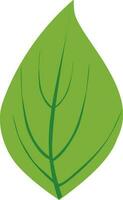 Green leaf icon in flat style. vector