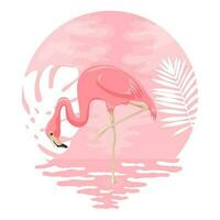 Summer vector illustration of pink flamingo. Silhouettes.