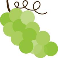 Grapes in green color. vector