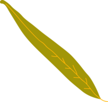 Willow Autumn Leaf png