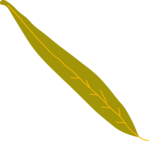 Weide Herbst Blatt png