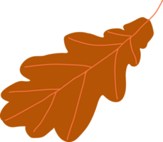 Oak Autumn Leaf png