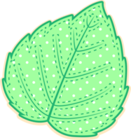 hand draw leaf png