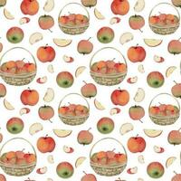 Hand drawn watercolor apple fruits in basket, ripe, full and slices red and green. Seamless pattern. Isolated object on white background. Design for wall art, wedding, print, fabric, cover, card. vector