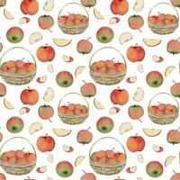 Hand drawn watercolor apple fruits in basket, ripe, full and slices red and green. Seamless pattern. Isolated object on white background. Design for wall art, wedding, print, fabric, cover, card. vector