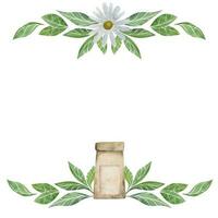 Watercolor hand drawn illustration. Tea green leaves garland, paper bag, camomile flower. Square frame. Isolated on white background. For invitations, cafe, restaurant food menu, print, website, cards vector