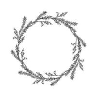 Ink hand drawn vector graphic sketch illustration. Flower circle wreath of heather branches with buds and leaves. Nature bloom vegetation. Design for tourism, travel, wedding, print, fabric, card