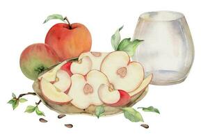 Hand drawn watercolor composition with apple fruits on ceramic plate, full and slices, with leaves and seeds. Isolated on white background. Design for wall art, wedding, print, fabric, cover, card. vector