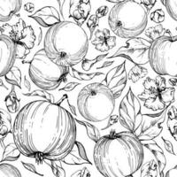 Hand drawn ink apple fruits, ripe, full and slices monochrome vector, detailed outline with leaves. Seamless pattern. Isolated on white background. Design for wall art, wedding, print, fabric, card. vector