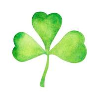 Watercolor handmade. St.Patrick 's Day. clover isolated on white background vector