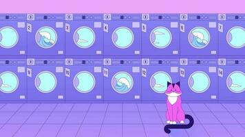 Laundromats with cat lo fi animation. Cute animal at laundry room. Commercial washer with pet. Animated 2D cartoon character. Chill lofi music 4K video vaporwave background, alpha channel transparency